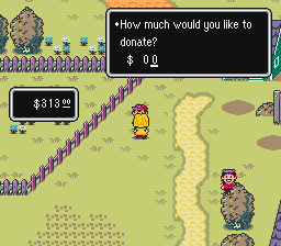 How much would you like to donate? in Happy-Happy Village