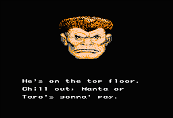 The informant in Part 5 - DRAT Headquarters in Wrath Of The Black Manta lies about the location of the final boss.