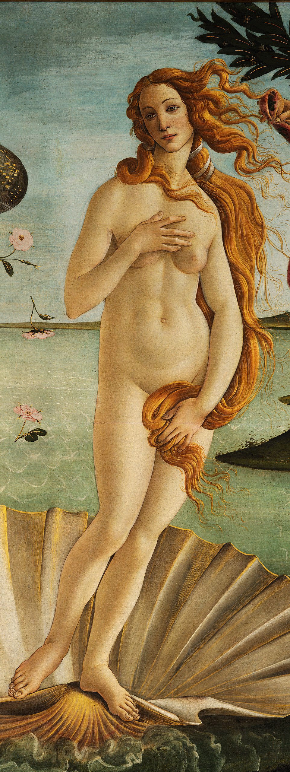 Venus from The Birth Of Venus